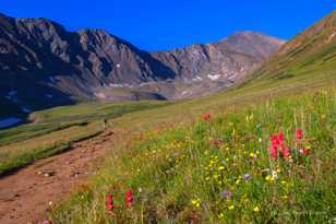 Grays Peak-0503.jpg